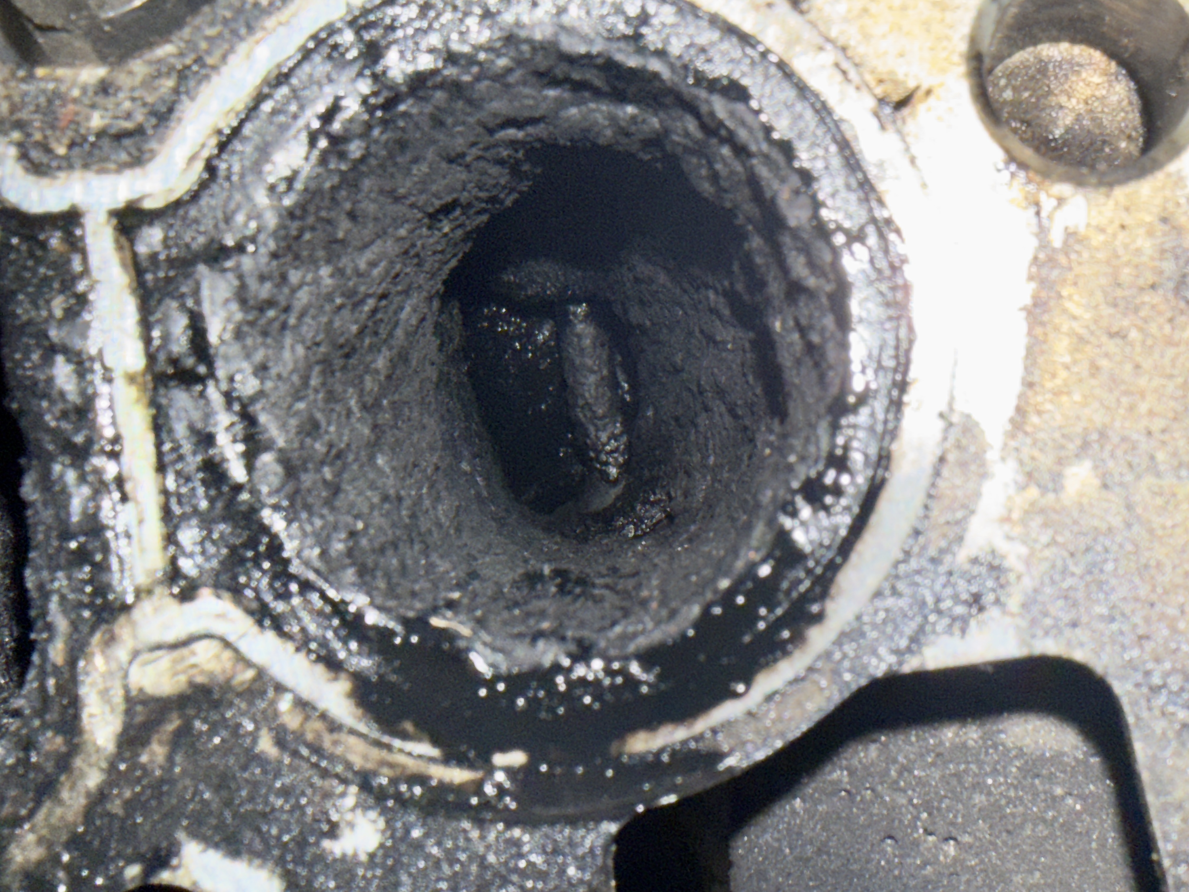 DPF cleaning